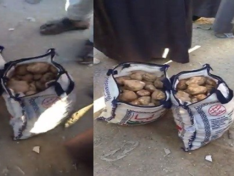 اضغط لمشاهدة الفيديو: ظهور الفقع في عرعر وبيع 20 كيلو بألف وعشرين ريالاً